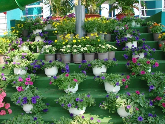 Xoắn cực đỉnh 9